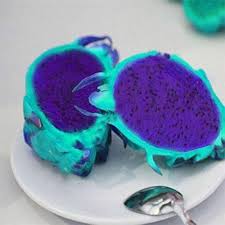 Sky Blue Pitaya Fruit Seeds for Planting – Rare Heirloom Non-GMO High Germination Organic Garden Seeds