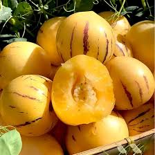 Pepino Melon Pear Seeds for Planting Solanum Muricatum Heirloom Non-GMO High Germination Organic Garden Seeds
