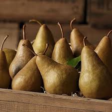 Brown Pear Seeds Heirloom Non-GMO High Germination Organic Garden Seeds for Planting