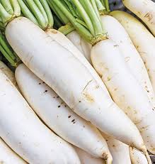 White Radish Seeds – Heirloom Non-GMO High Germination Organic Garden Seeds