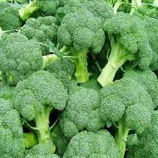 Green Broccoli Seeds – Heirloom Non-GMO High Germination Organic Garden Seeds