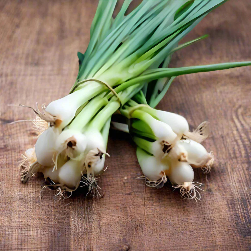 Scallions Vegetable herb seeds