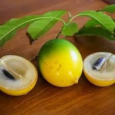 Yellow Abiu Seeds for Planting Heirloom Non-GMO High Germination Organic Garden Seeds