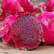 Dragon Seeds Organic Pink Heirloom Non-GMO High Germination Organic Garden Seeds for Planting