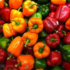 Mixed Gypsy Pepper Seeds – Heirloom, Non-GMO, High Germination Organic Garden Seeds Planting