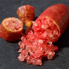 Pink Ice Finger Lime Fruit Seeds for Planting – Heirloom, Non-GMO, High Germination Organic Garden Seeds, Unique Citrus Seeds