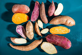 Mixed Sweet Potato – Heirloom, Non-GMO, High Germination Organic Garden Seeds Planting