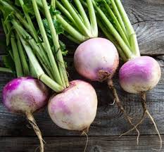 Turnip Seeds – Heirloom Non-GMO High Germination Organic Garden Seeds