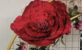 Rose Flower Seeds for Planting Red – Heirloom Non-GMO High Germination Organic Garden Seeds