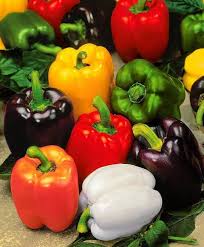 Pepper Mixed Seeds – Heirloom, Non-GMO, High Germination Organic Garden Seeds Planting