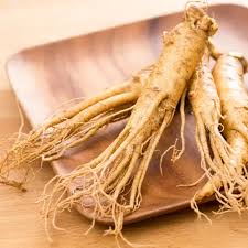 Mixed Organic Ginseng Seeds – Heirloom, Non-GMO, High Germination Organic Garden