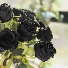 Black Bonsai Rose Flower Seeds for Planting – Heirloom Non-GMO High Germination Organic Garden Seeds