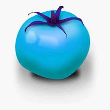 Sky Blue Tomato Seeds for Planting - Heirloom, Non-GMO, Unique Organic Garden Seeds