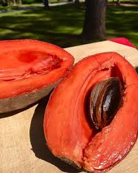 Red Mamey Seeds Heirloom Non-GMO High Germination Organic Garden Seeds for Planting