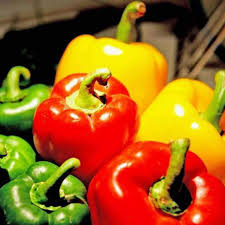 Mixed Gypsy Pepper Seeds – Heirloom, Non-GMO, High Germination Organic Garden Seeds Planting
