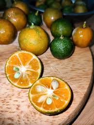 Calamansi Seeds Yellow Heirloom Non-GMO High Germination Organic Garden Seeds for Planting