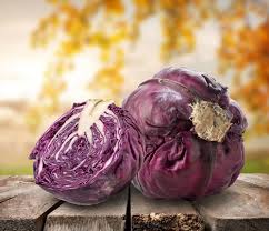 Mixed Cabbage Seeds – Heirloom, Non-GMO, High Germination Organic Garden Seeds Planting