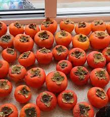 Red Diospyros (Persimmon) Fruit Seeds for Planting – Heirloom, Non-GMO, High Germination Organic Garden Seeds for Sweet Soft Persimmons