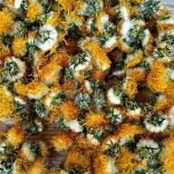 Yellow Dandelion Flower Seeds – Heirloom Non-GMO High Germination Organic Garden Seeds