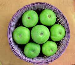 Tinda Seeds Heirloom Non-GMO High Germination Organic Garden Seeds for Planting