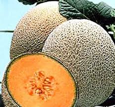 Cantaloupe Seeds Orange Heirloom Non-GMO High Germination Organic Garden Seeds for Planting