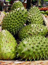 LushGreen Rare Annona Muricata Graviola Soursop Fruit Seeds for Planting Heirloom Non-GMO High Germination Organic Garden Seeds