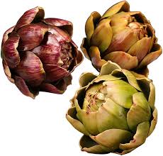 Mixed Artichoke Seeds – Heirloom, Non-GMO, High Germination Organic Garden Seeds Planting