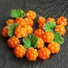 Orange Cloudberry Fruit Seeds – Heirloom Non-GMO High Germination Organic Garden Seeds