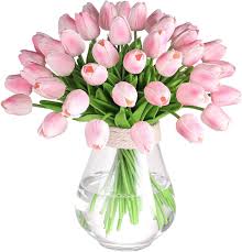 Tulip Flower Seeds Pink for Planting – Heirloom, Non-GMO, High Germination