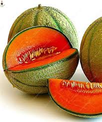 Red Cantaloupe Melon Fruit Seeds for Planting – Heirloom Non-GMO High Germination Organic Garden Seeds for Sweet Juicy Melons