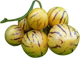 Pepino Melon Pear Seeds for Planting Solanum Muricatum Heirloom Non-GMO High Germination Organic Garden Seeds