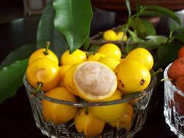 Yellow Mangosteen Seeds Heirloom Non-GMO High Germination Organic Garden Seeds for Planting