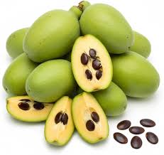Paw Paw Seeds Yellow for Planting – Heirloom Non-GMO High Germination Organic Garden Seeds