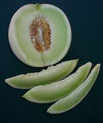 Green Honeydew Melon Fruit Seeds – Heirloom Non-GMO High Germination Organic Garden Seeds for Planting Seeds for Planting