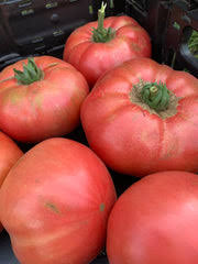 Tomate „Pink Seeds“ – Alte Sorte, gentechnikfrei, keimfreudige Bio-Gartensamen