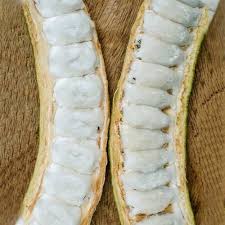 Inga Edulis Plant Seeds – Heirloom Non-GMO High Germination Organic Garden Seeds for Planting Tropical Delight Seeds for Planting