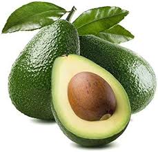 Wurtz (Littlecado) Avocado Seeds Fruit Seeds for Planting – Heirloom Non-GMO High Germination Organic Garden Seeds
