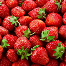 Albion Strawberry Fruit Seeds for Planting – Heirloom, Non-GMO, High Germination Organic Garden Seeds