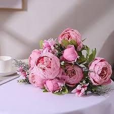 Light Pink Peony Flower Seeds Heirloom Non-GMO High Germination Organic Garden Seeds for Planting