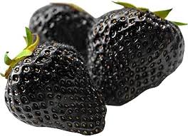 Black Strawberry Fruit Seeds for Planting – Heirloom Non-GMO High Germination Organic Garden Seeds for Sweet Strawberries