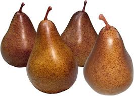 Brown Pear Seeds Heirloom Non-GMO High Germination Organic Garden Seeds for Planting