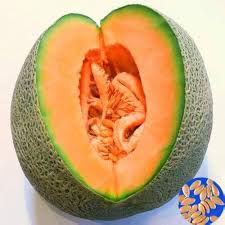 Melon Lesya Fruit Seeds for Planting – Heirloom, Non-GMO, High Germination Organic Garden Seeds for Sweet, Juicy Melons