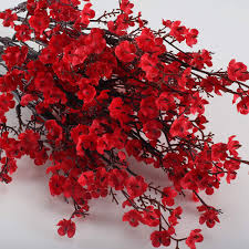 Semillas de flores de gypsophila roja – Herencia, sin OGM, semillas de alta germinación