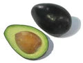Mexicola Avocado or Butter Fruit Seeds for Planting – Heirloom Non-GMO High Germination Organic Garden Seeds
