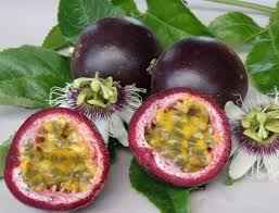 Black Passion Fruit Seeds for Planting Heirloom Non-GMO High Germination Organic Garden Seeds