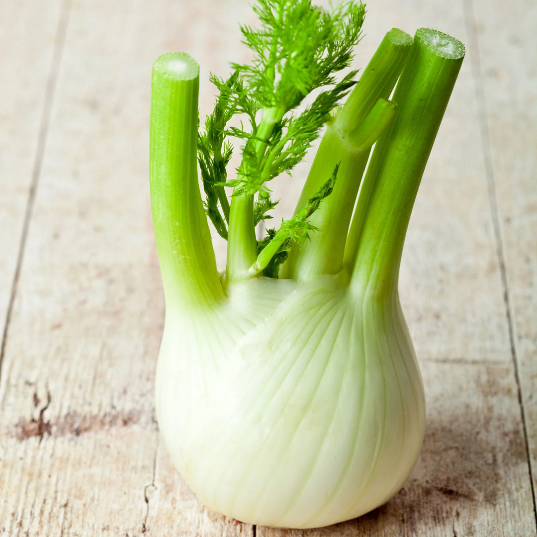 Fennel Florence herb seeds