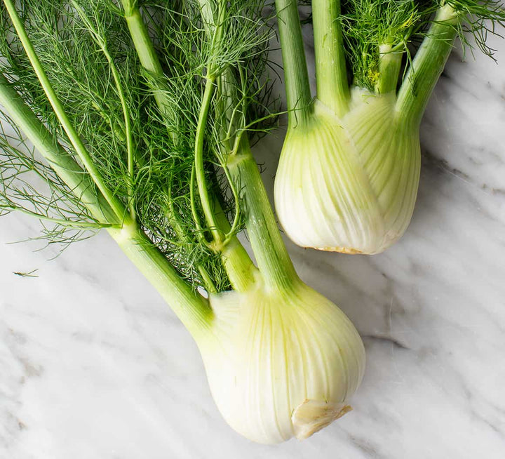 Fennel Plant Seeds – Heirloom, Non-GMO, High Germination Garden Seeds for Planting
