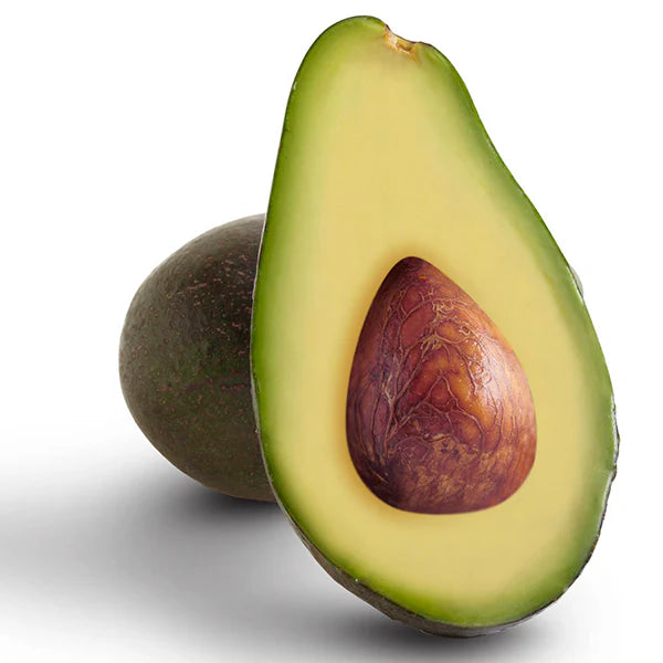 Fuerte Avocado Fruit Seeds for Planting Heirloom Non-GMO High Germination Organic Garden Seeds