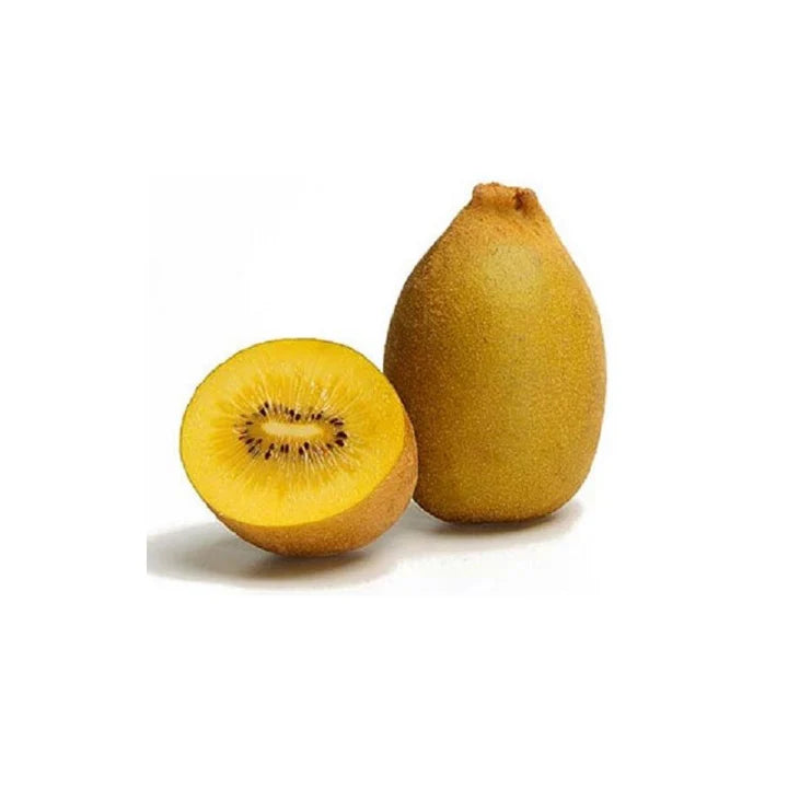 Golden Yellow Kiwi Fruit Seeds for Planting – Heirloom Non-GMO High Germination Organic Garden Seeds Sweet Tangy Yellow Kiwi Seeds for Home Garden
