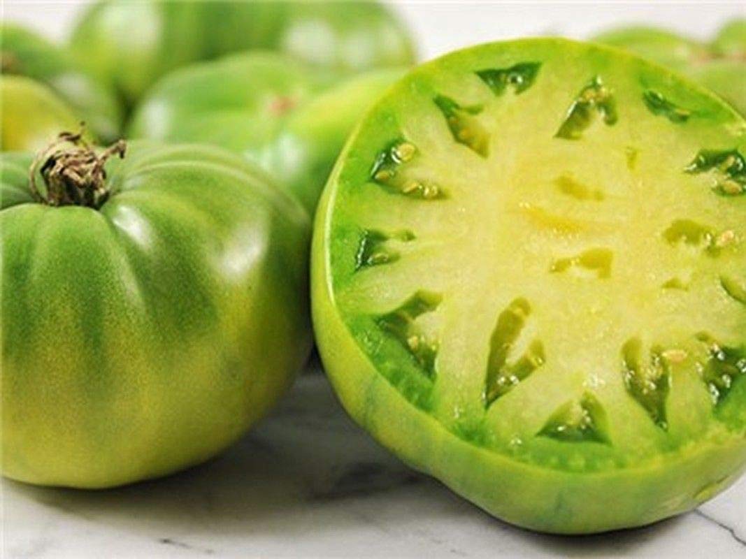 green giant flower seeds